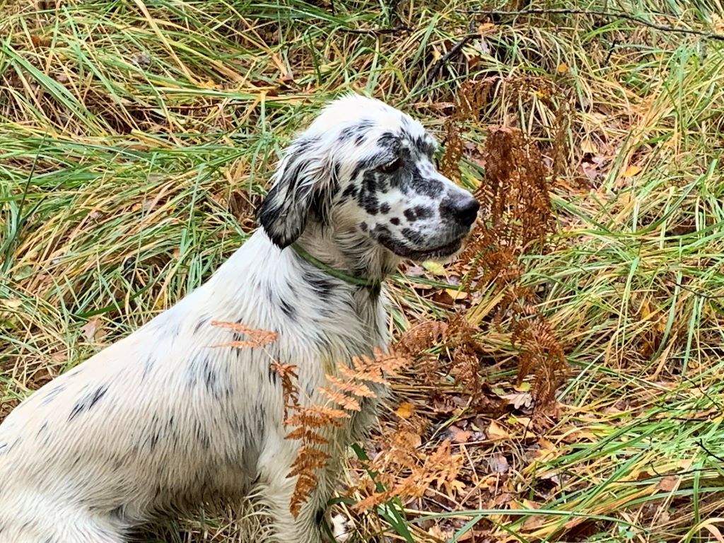 Nora de la Sauvignere