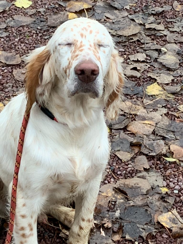 Snow de la Sauvignere